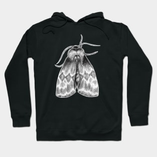 Moth Insect Pencil Drawing Hoodie